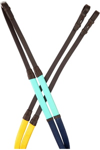 2026 Dublin Rainbow Reins 1031512 - Brown / Multi