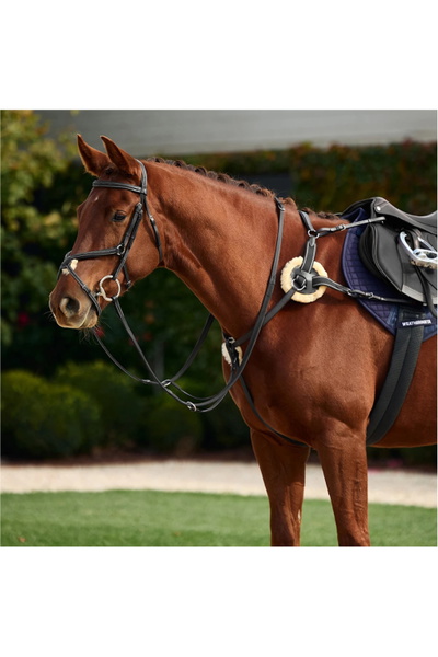 Dublin 5-Point Event Breastplate