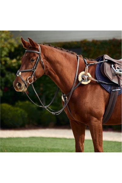 Dublin 5-Point Event Breastplate