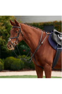 2026 Dublin 3-Point Breastplate 1031504 - Black