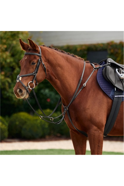 Dublin 3-Point Breastplate