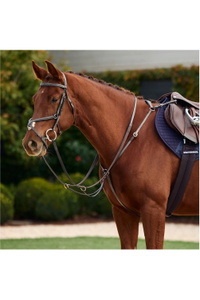 2026 Dublin 3-Point Breastplate 1031504 - Brown