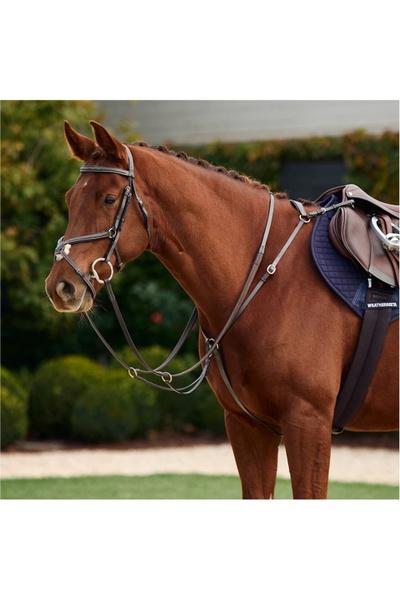 Dublin 3-Point Breastplate