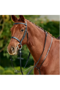 2026 Dublin Running Martingale 1031505 - Black