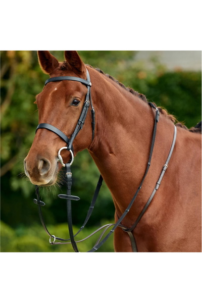 Dublin Running Martingale