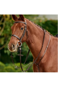 2026 Dublin Correr Martingala 1031505 - Brown