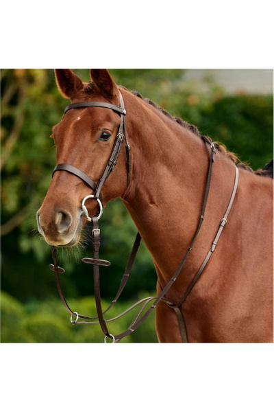 Dublin Running Martingale