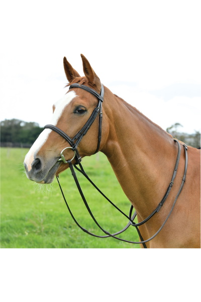 Dublin Staande Martingale