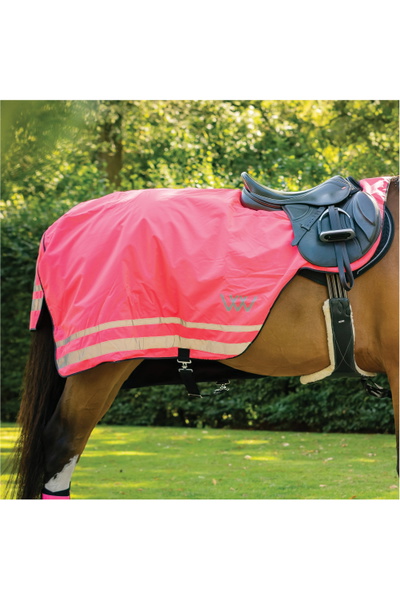 Woof Wear Hi Vis Exercise Sheet