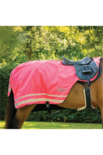Woof Wear Winter Hi Vis Exercise Sheet