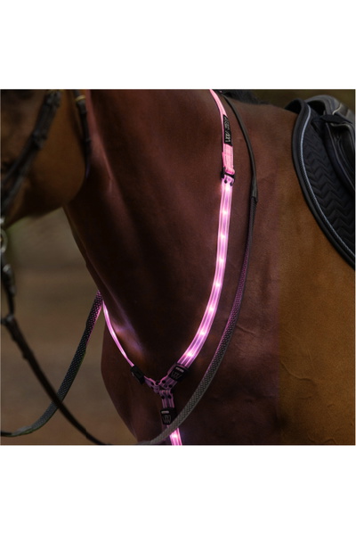 Woof Wear LED Neck Band