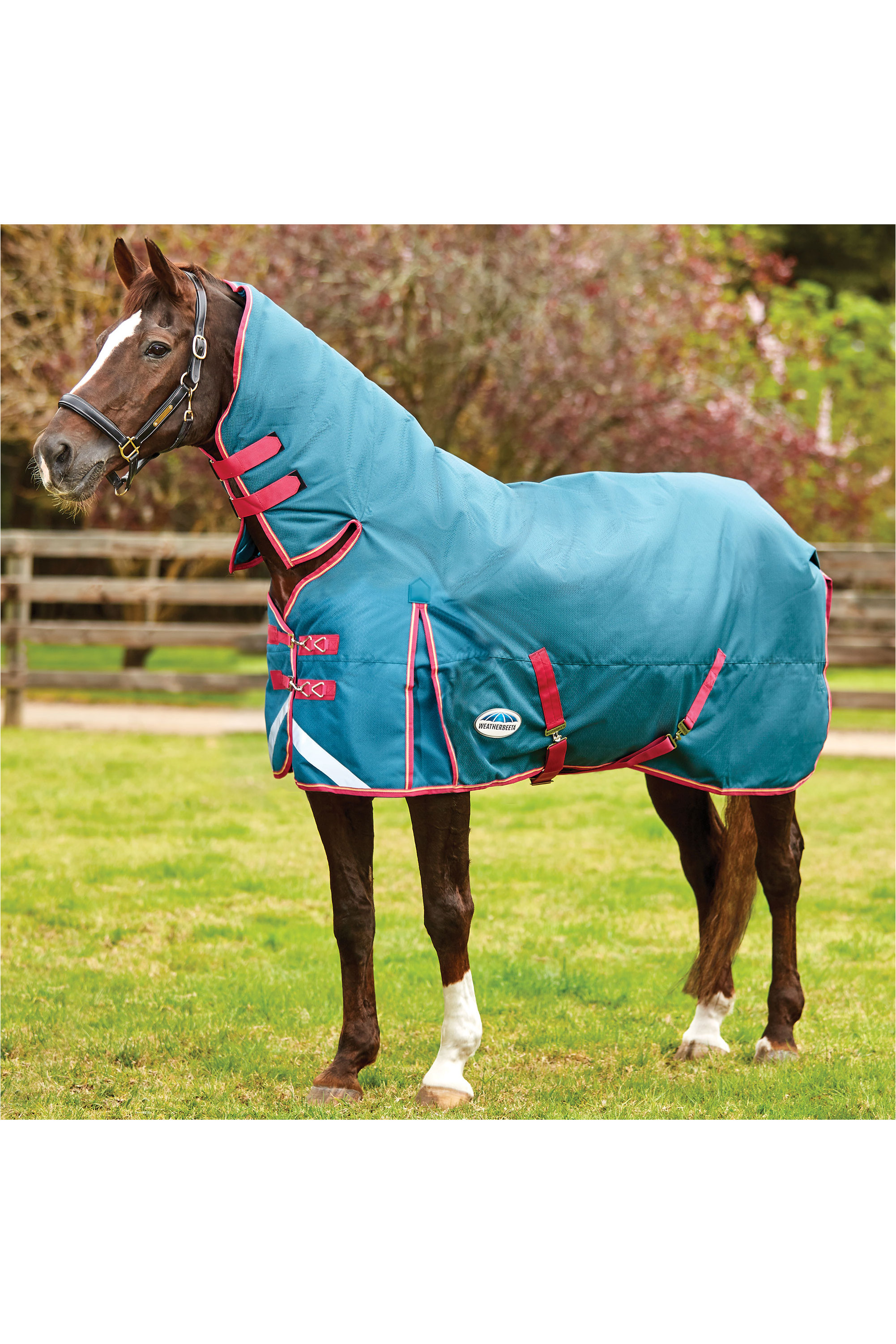 Weatherbeeta Comfitec Plus Dynamic Combo Neck Heavy