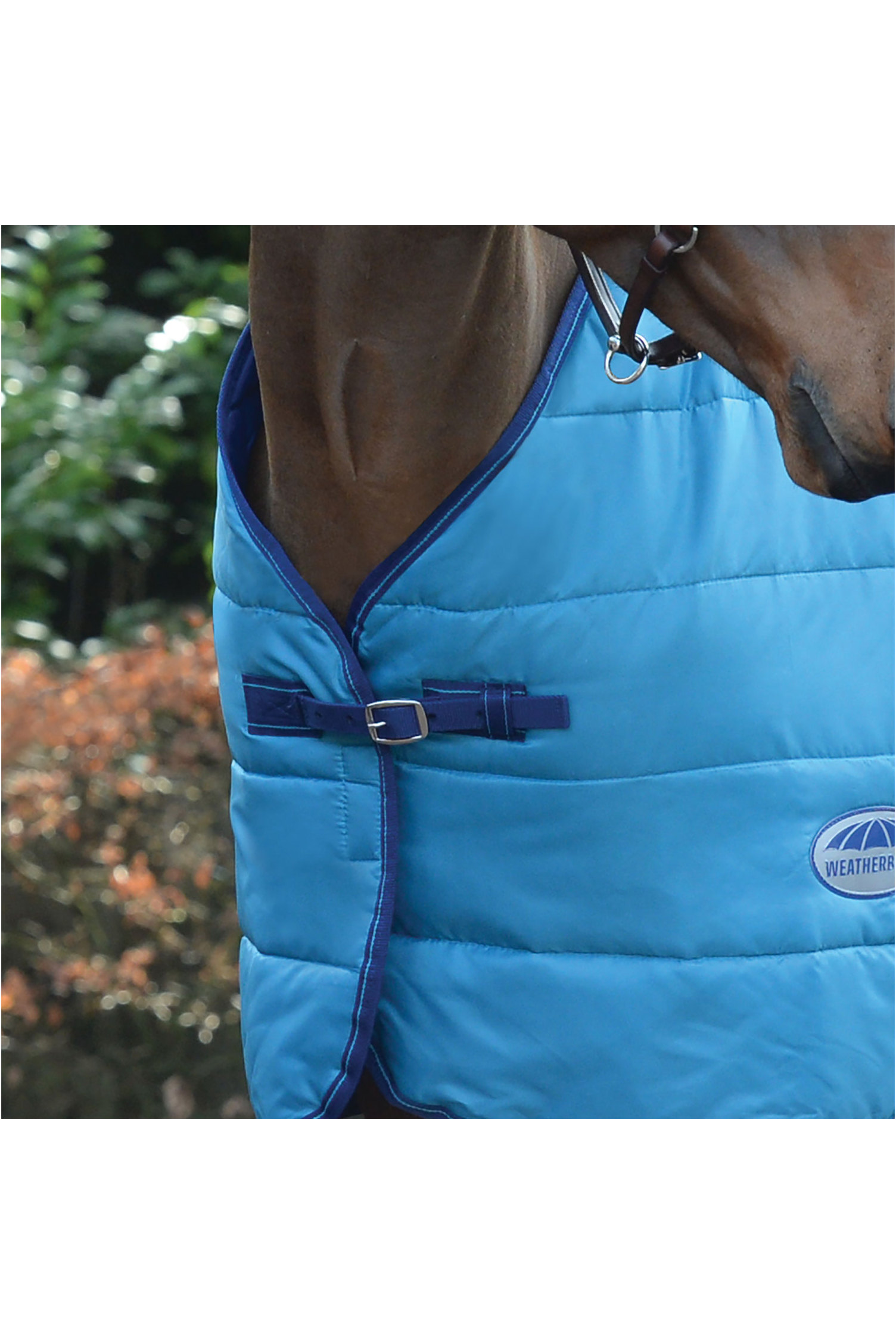 Agricultural Equipment & Supplies Rugs & Blankets Business, Industry