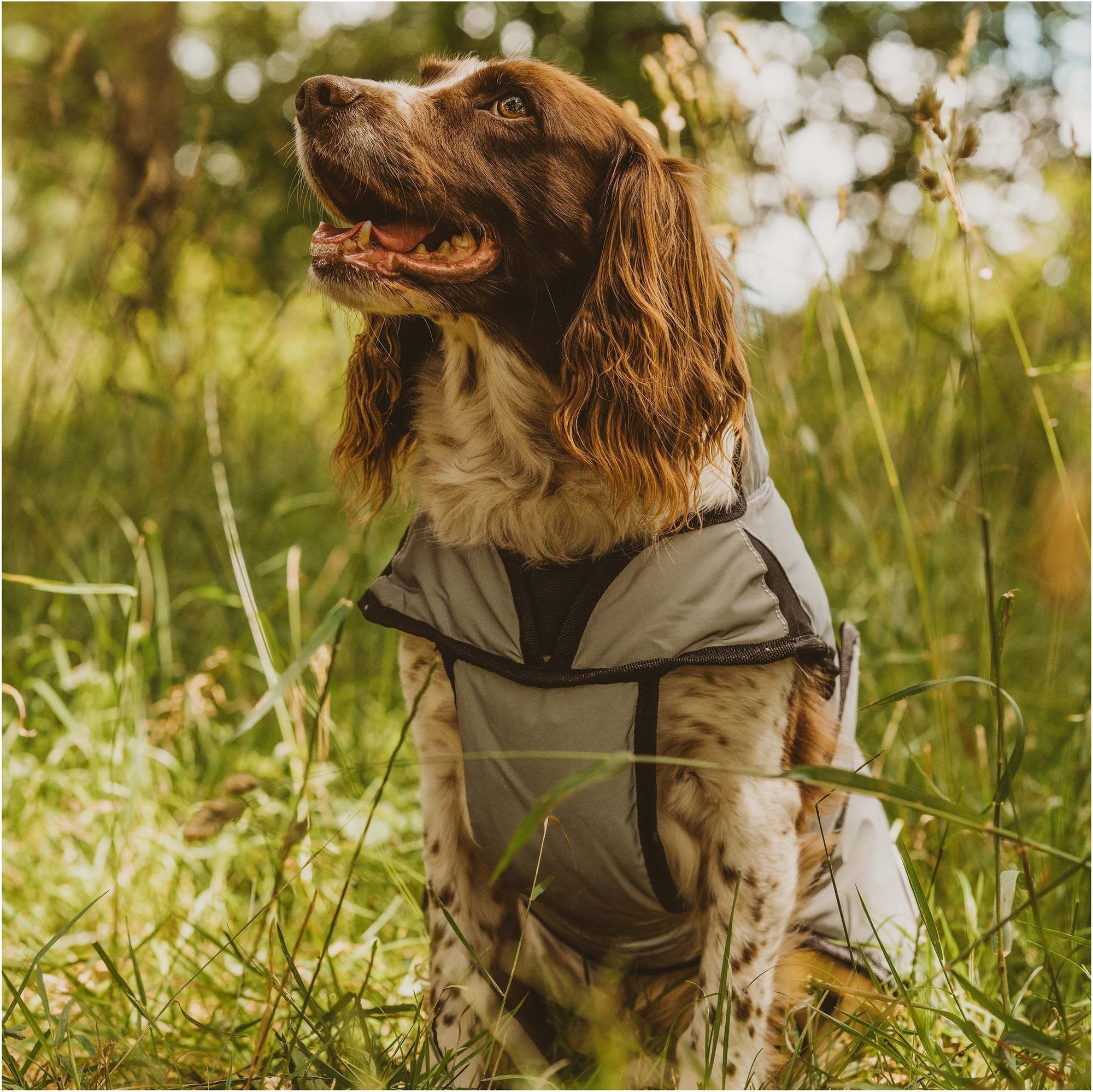 Weatherbeeta Comfitec Reflektierender Hundemantel - Silber