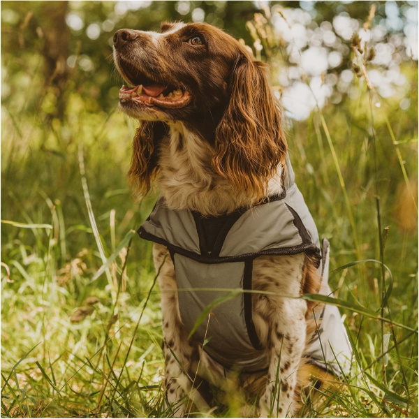 Weatherbeeta Comfitec Reflective Dog Coat - Silver