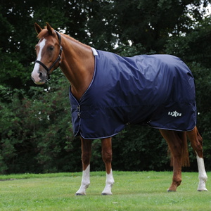 Saxon Defiant 600d Lite Standard Nackendecke - Navy / Weiß