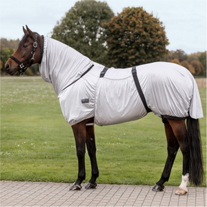 2026 Waldhausen Ekzem Teppich 8057711 - Silver Grey