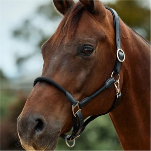2026 Dublin Leather Rope Headcollar 1031533 - Black / Black