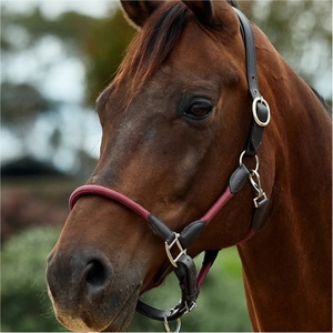 2026 Dublin Leather Rope Headcollar 1031533 - Burgundy / Brown