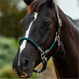 2026 Dublin Leather Rope Headcollar 1031533 - Hunter Green / Brown