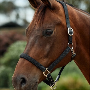 2026 Dublin Braided Leather Headcollar 1031532 - Black