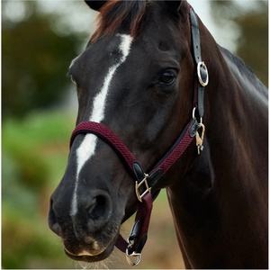 2026 Dublin Braided Leather Headcollar 1031532 - Burgundy