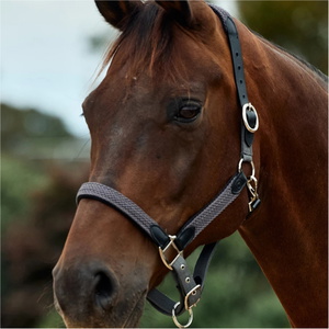 2026 Dublin Braided Leather Headcollar 1031532 - Charcoal