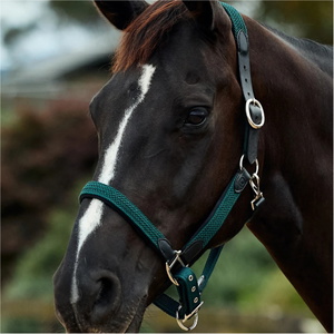 2026 Dublin Braided Leather Headcollar 1031532 - Hunter Green
