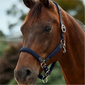 2026 Dublin Braided Leather Headcollar 1031532 - Navy