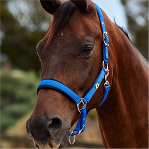2026 Dublin Neo Komfort Halfter 1031035 - Cobalt