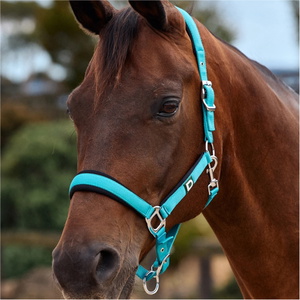 2026 Dublin Neo Comfort Headcollar 1031035 - Dark Turquoise