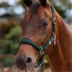2026 Dublin Neo Comfort Headcollar 1031035 - Green / Black