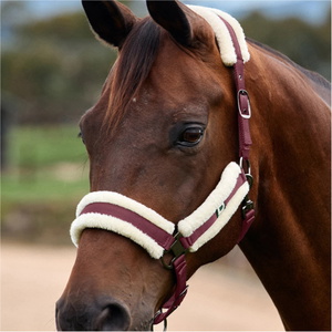 2026 Dublin Soft Fit Headcollar 1031034 - Burgundy