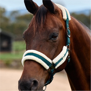 2026 Dublin Soft Fit Headcollar 1031034 - Green