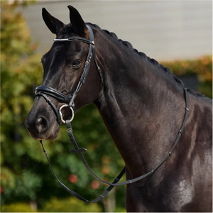 2026 Dublin Padded Mono Crown Patent Flash Bridle 1031501 - Black
