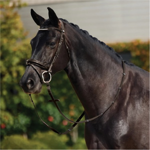 2026 Dublin Padded Mono Crown Patent Flash Bridle 1031501 - Brown
