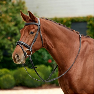 2026 Dublin Padded Mono Crown Flash Bridle 1031498 - Black