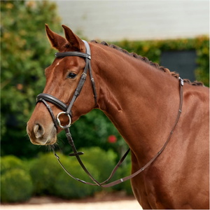 2026 Dublin Padded Mono Crown Flash Bridle 1031498 - Brown
