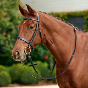 2026 Dublin Flat Cavesson Bridle 1031494 - Black