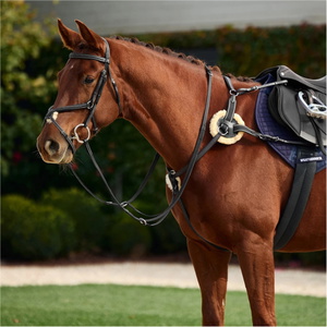 2026 Dublin 5-Point Event Breastplate 1031503 - Black