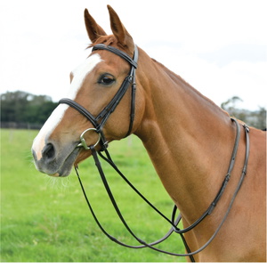 2026 Dublin Staande Martingale 1031506 - Brown