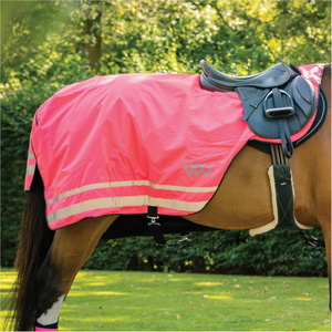2026 Woof Wear Hi Vis Exercise Sheet WS0032 - Hi Viz Pink