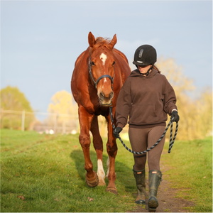 2026 Equilibrium Stellar Saftey Leadrope 32309 - Black