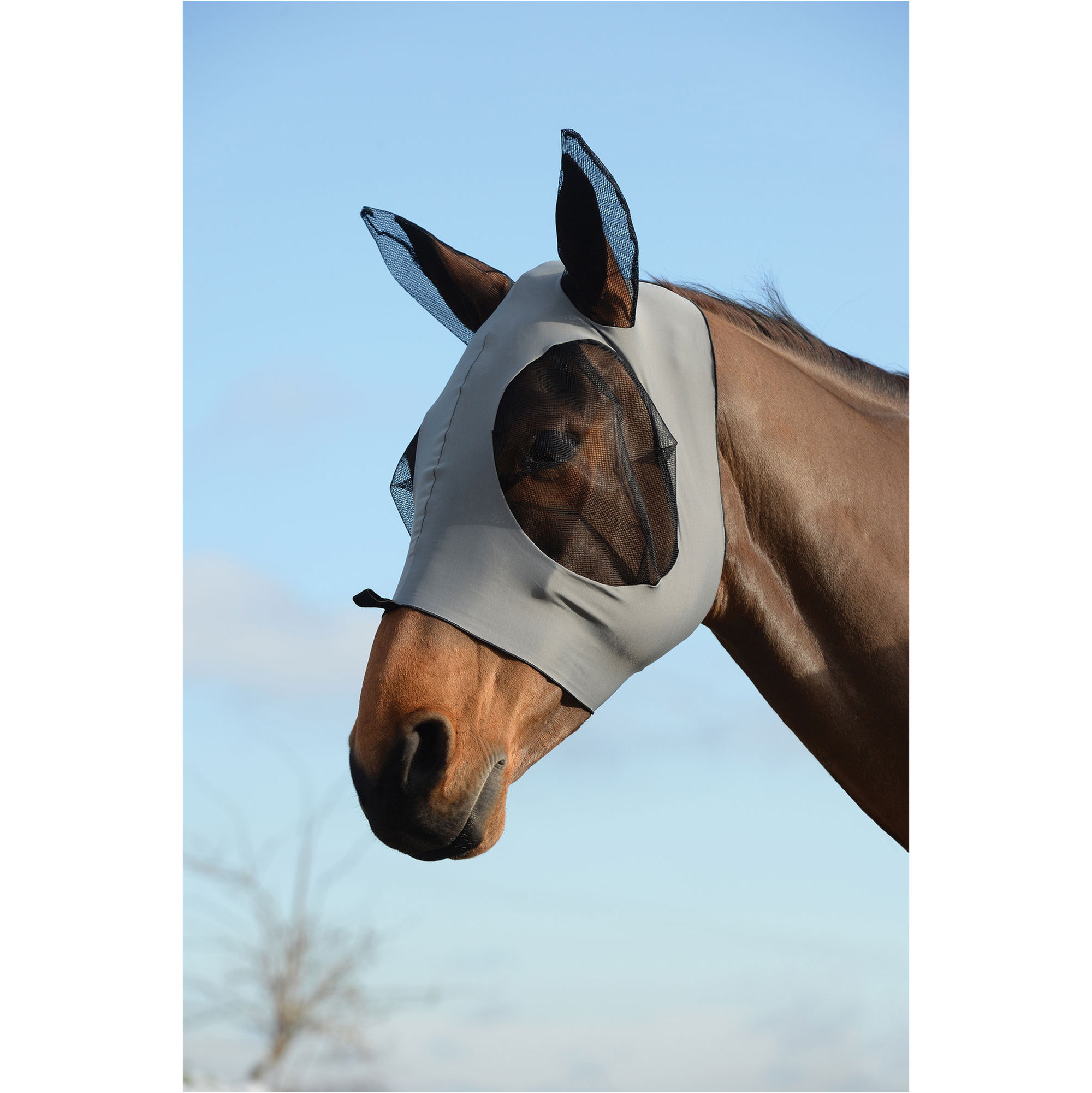 Weatherbeeta Stretch Bug Eye Saver Mit Augen - Grau / Schwarz