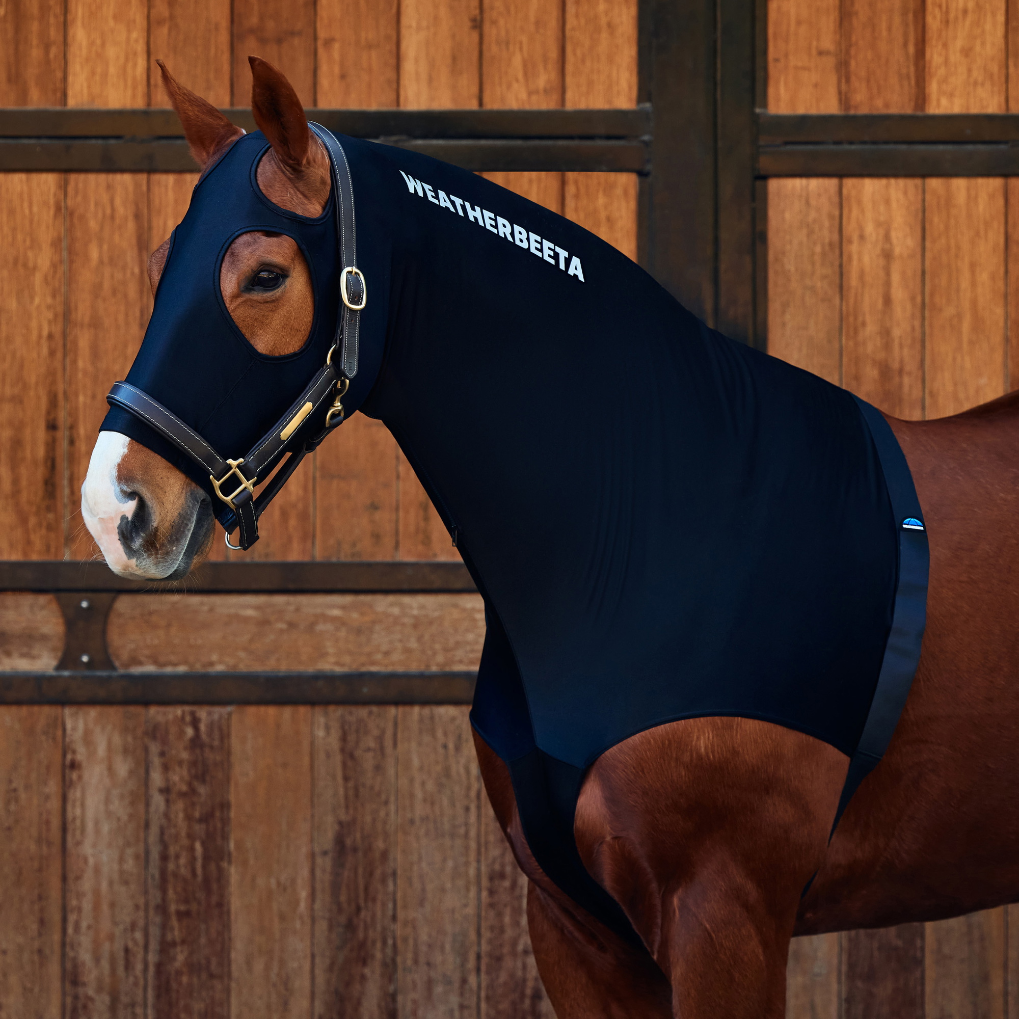 Weatherbeeta Stretch Kapuze Mit Reißverschluss 589536 - Black
