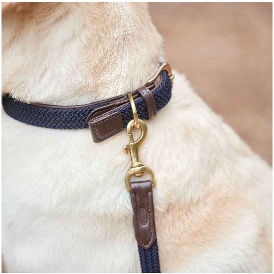 Weatherbeeta Leather Plaited Dog Collar - Maroon
