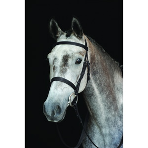 Collegiate Jagd Cavesson Zaumzeug 8008 - Black
