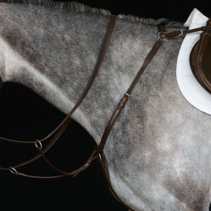 Collegiate Hunter Brustplatte Iv 800901 - Braun