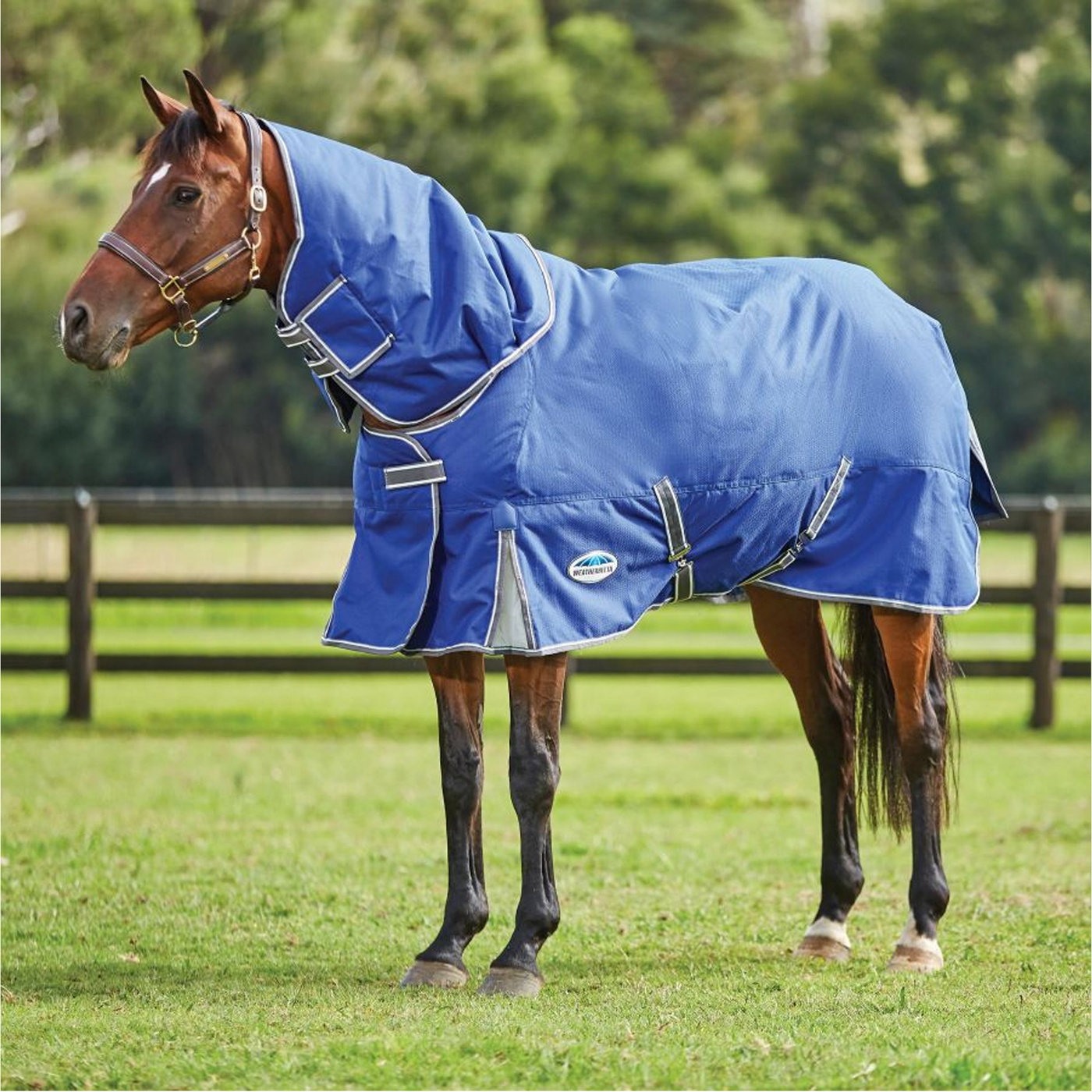 Weatherbeeta Turtle Rug WeatherBeeta ComFiTec Premier Free II Medium-Lite Detach-A-Neck Turnout ...