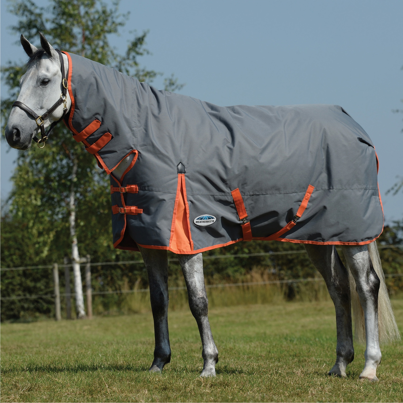 Weatherbeeta Turtle Rug 2022 Weatherbeeta Comfitec Classic Combo Neck Medium Turnout Rug ...
